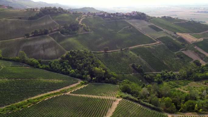 欧洲，意大利，Oltrepo' Pavese Montalto -无人机鸟瞰图惊人的景观乡村自然与葡