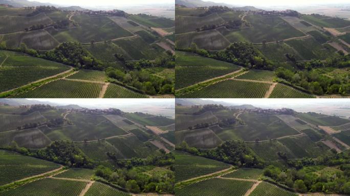 欧洲，意大利，Oltrepo' Pavese Montalto -无人机鸟瞰图惊人的景观乡村自然与葡