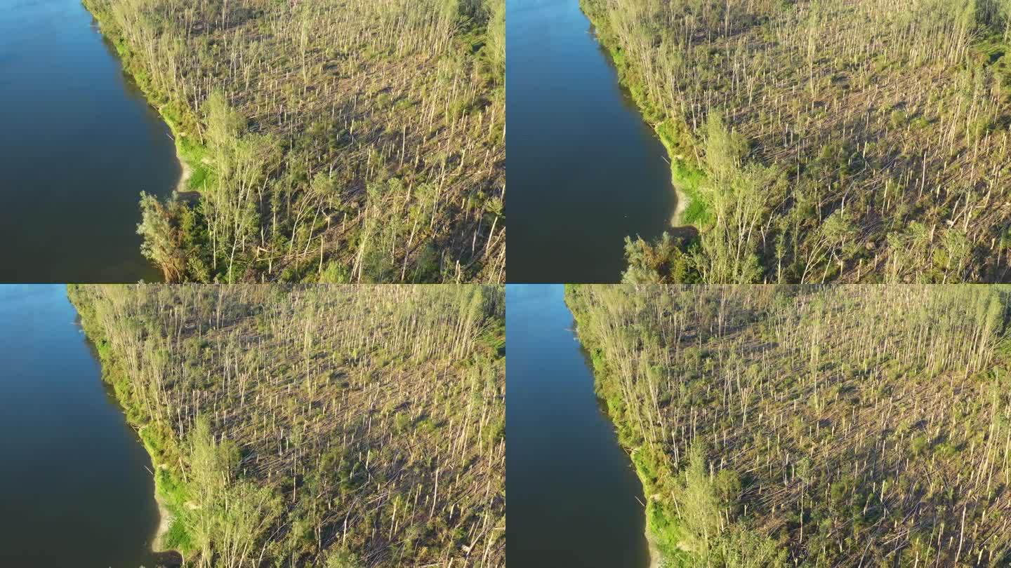 夏季超级单体风暴后被破坏的森林景观航拍，无人机拍摄环境破坏景