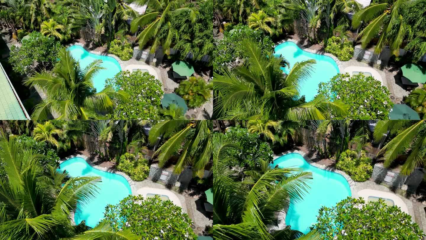 酒店豪华的梨形游泳池，周围环绕着绿色的棕榈树和灌木。菲律宾薄荷岛是放松身心的好地方。酒店设有游泳池和