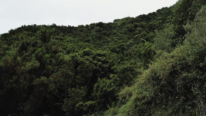 在特内里费岛的海滨远足