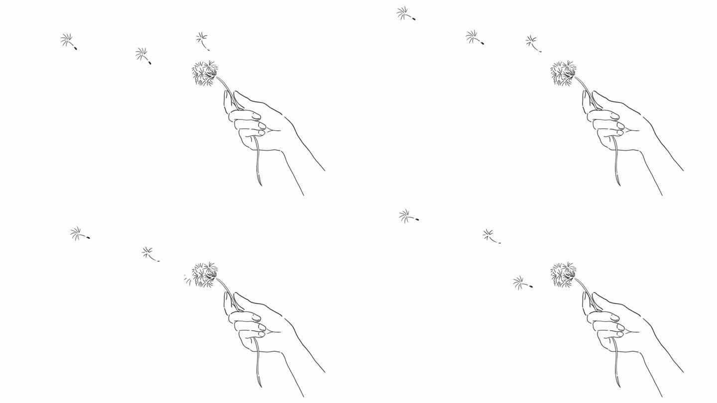 蒲公英绒毛从手中飞舞的动画