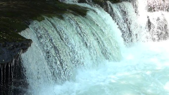 在北海道，鲑鱼爬上瀑布。