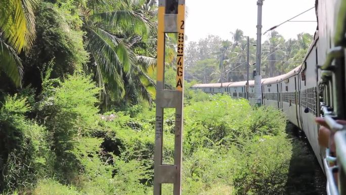 印度的铁路。铁路支线穿过棕榈林