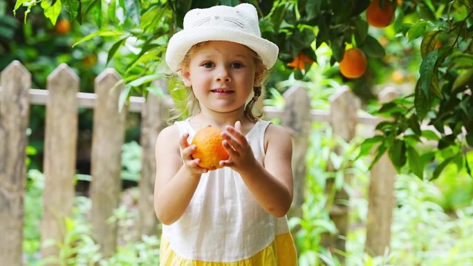 土耳其，小女孩在阳光明媚的橘子树花园里采摘新鲜成熟的橙子