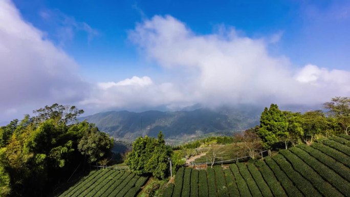 延时——台湾茶园上空壮观的云朵