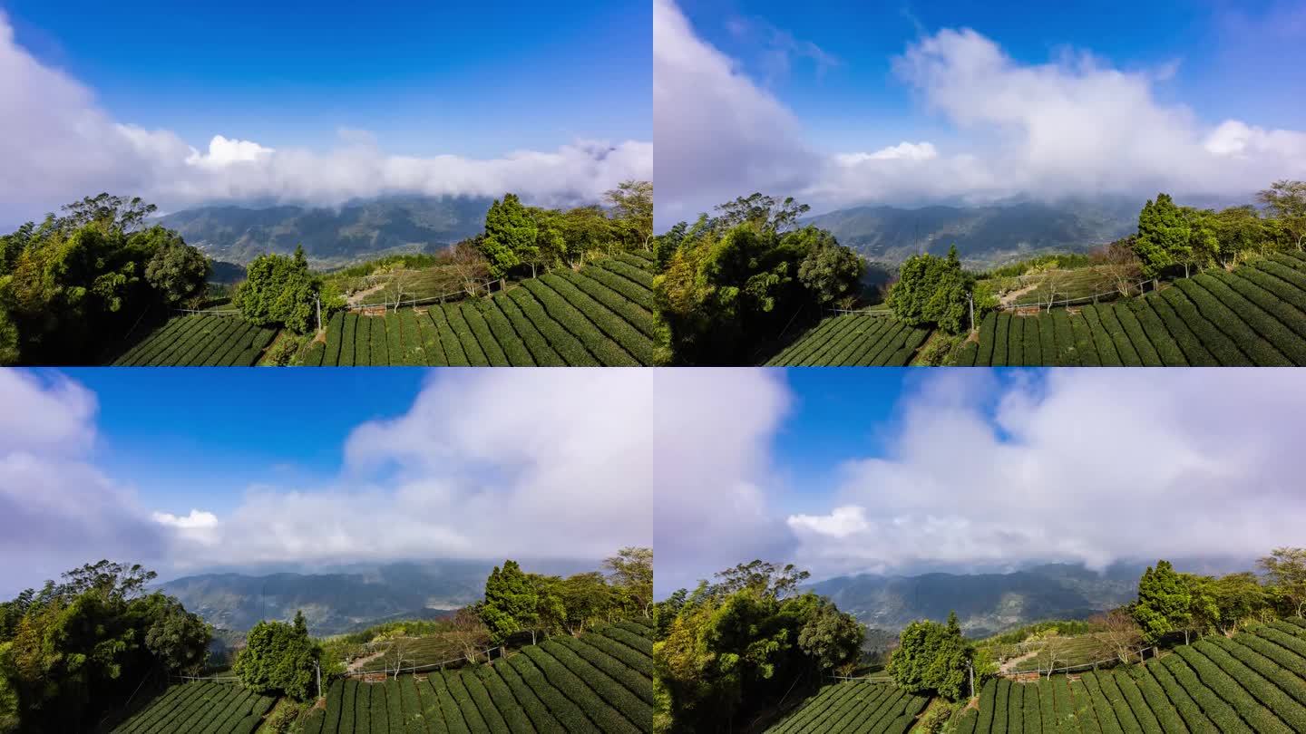 延时——台湾茶园上空壮观的云朵