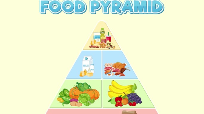 食物金字塔营养图食物分类卡通动画食物营养