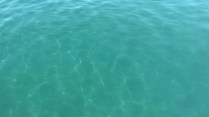 大海里的水蓝蓝的，海浪大，深水清澈。
