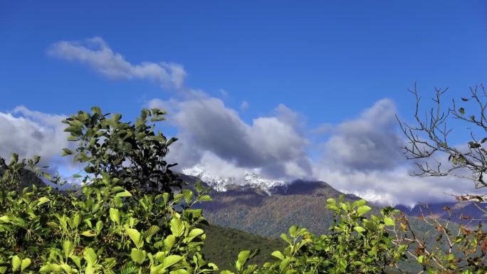 蓝蓝的天空与飞云在山与雪峰拍摄通过灌木丛在时间流逝