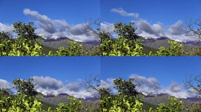 蓝蓝的天空与飞云在山与雪峰拍摄通过灌木丛在时间流逝