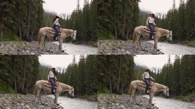 女骑手牵着马沿着河岸走