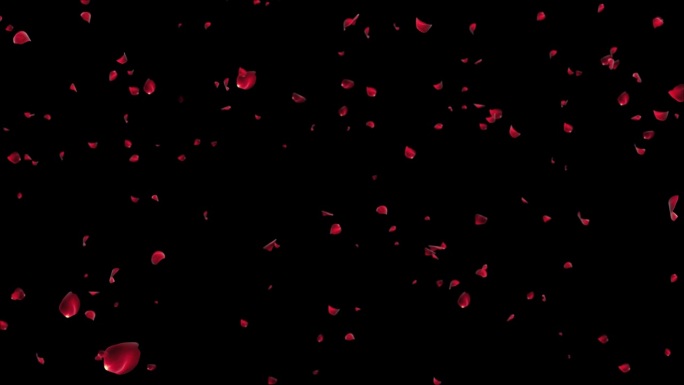 红色的玫瑰花瓣雨落在绿色的屏幕浪漫的网页贺卡装饰。