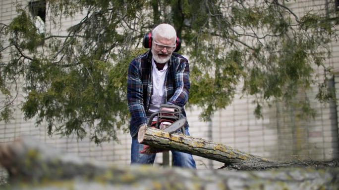 一位戴着耳机、手里拿着电锯的老人把一根原木锯成一棵户外树的树桩背景
