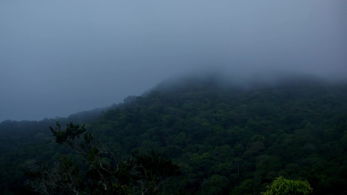 云雾森林，巴拿马高原气候生态