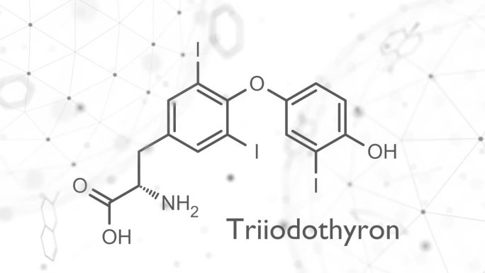 三碘甲状腺原氨酸(T3，碘甲状腺原氨酸)甲状腺激素分子。垂体激素。也用作治疗甲状腺功能减退的药物。骨