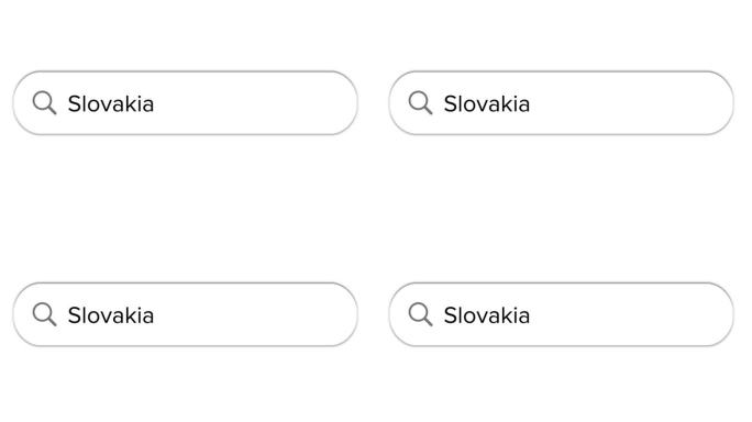 Www搜索栏图标与斯洛伐克文本隔离在白色背景上