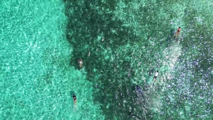 游客在海洋珊瑚礁周围浮潜鸟瞰图