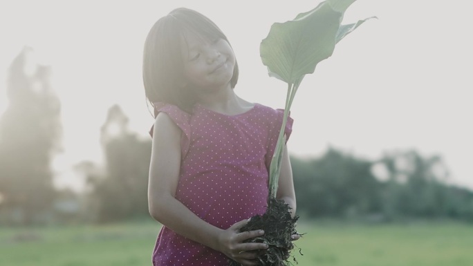 小女孩手里拿着小植物。拯救世界和生态理念。