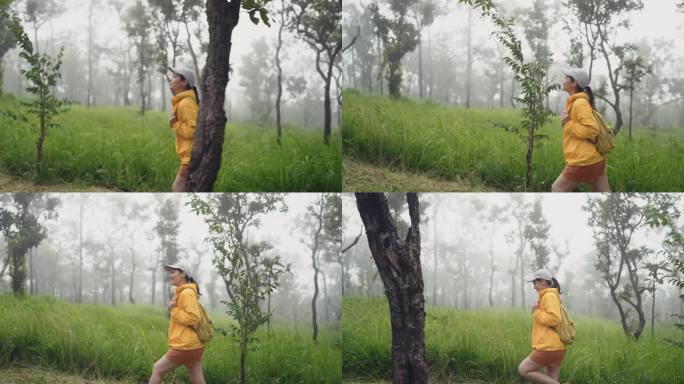 穿着黄色雨衣背着背包的女徒步旅行者在森林里徒步旅行