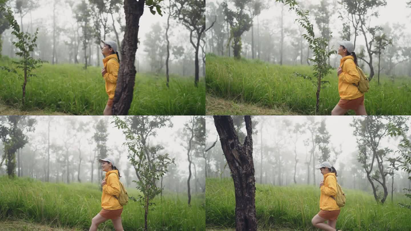 穿着黄色雨衣背着背包的女徒步旅行者在森林里徒步旅行