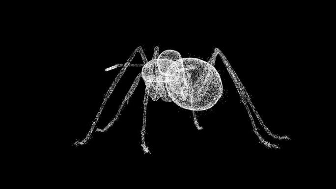 3D昆虫旋转黑色bg。防治病虫害，消灭昆虫。杀虫服务。用于标题，文本，演示。由闪闪发光的微粒构成的物