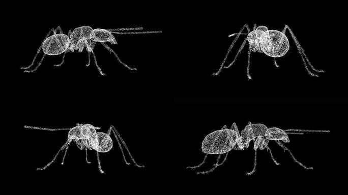 3D昆虫旋转黑色bg。防治病虫害，消灭昆虫。杀虫服务。用于标题，文本，演示。由闪闪发光的微粒构成的物