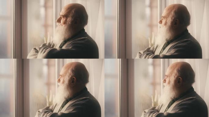 深思熟虑的大胡子老人望着窗外，老年人的生活方式，回忆