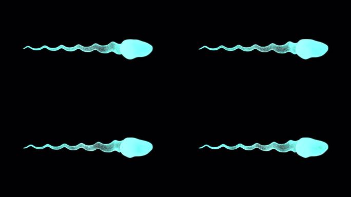 精子在蓝色x光下以无缝循环游动