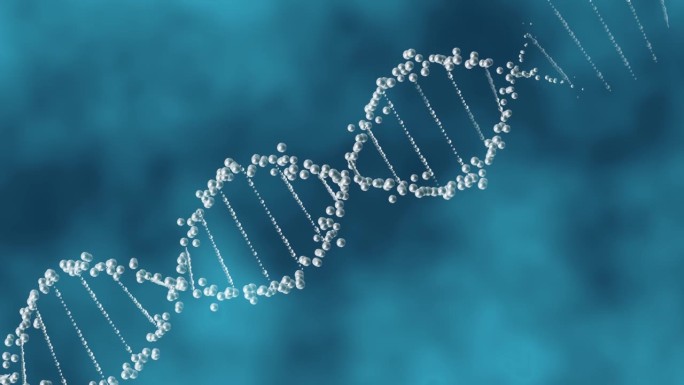 医学上的DNA染色体排列和断裂。DNA双螺旋结构。现代医学概念及人体与器官移植技术。