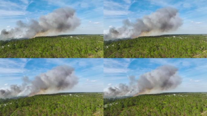 鸟瞰图显示，消防部门的直升机正在扑灭佛罗里达州丛林中严重燃烧的野火。紧急服务直升机试图扑灭森林大火