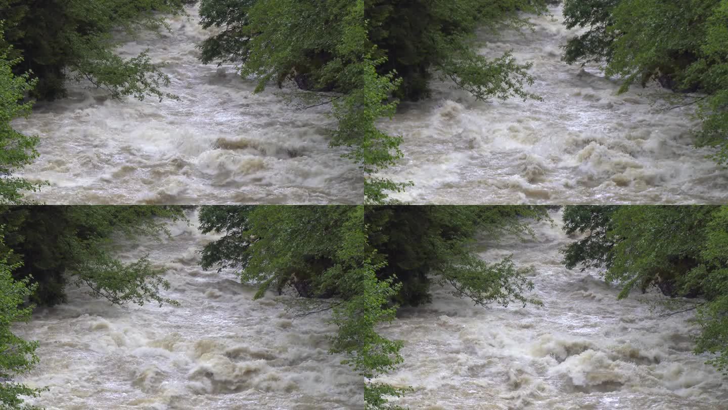 洪水在森林河流中穿过树木的超级慢动作镜头