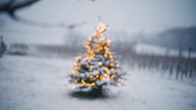 雪花落在散焦的圣诞树上——透过树枝拍摄