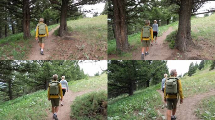 一对徒步旅行的老年夫妇从小路上探索高山草甸