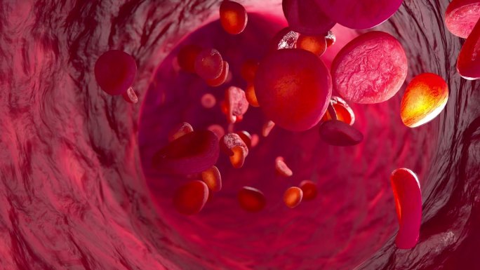 血液细胞在动脉中运动的三维动画