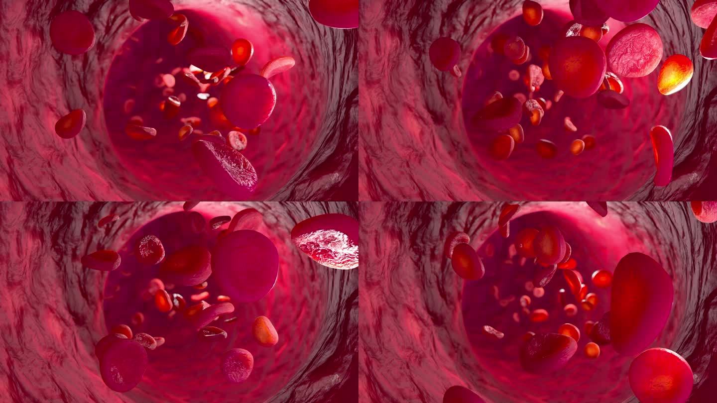 血液细胞在动脉中运动的三维动画