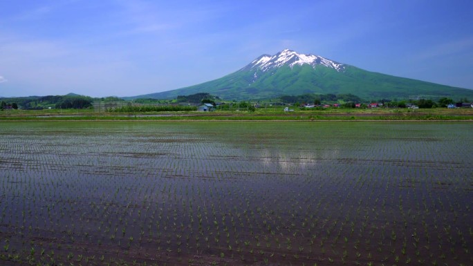 磐城山上和水田里剩下的雪