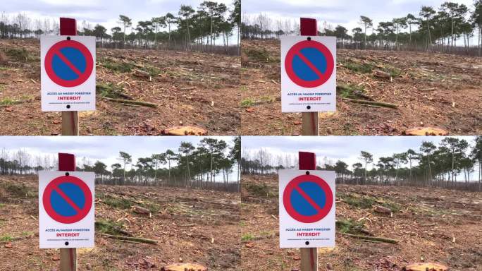 2022年7月小尼斯海滩的La Teste de Buch森林大火后，“禁止进入森林地块”的法国标志