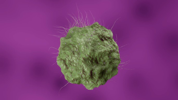 人体内的细菌病毒细胞。冠状病毒或其他危险细胞在生物体内游动。癌细胞。微病毒的3D渲染。细菌在显微镜下
