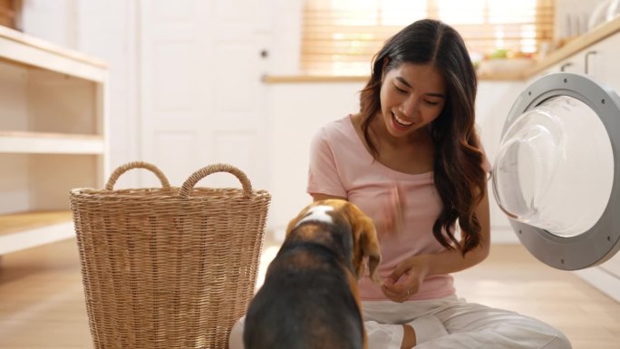 一名年轻的亚洲成年女子一边逗弄她的小猎犬，一边把篮子里的衣服放进洗衣机里洗衣。