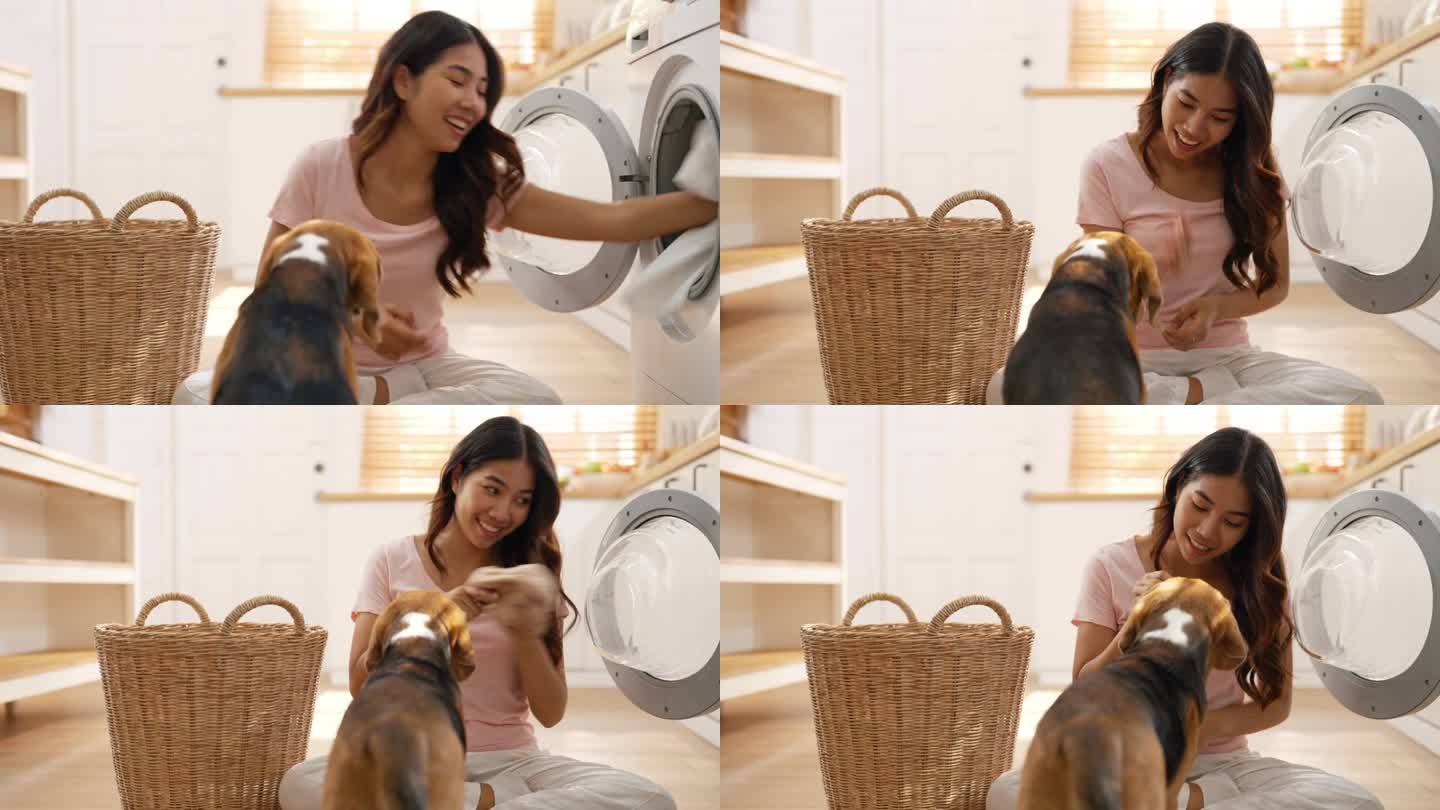 一名年轻的亚洲成年女子一边逗弄她的小猎犬，一边把篮子里的衣服放进洗衣机里洗衣。