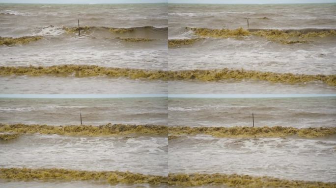 大海里的大浪打在沙滩上，海水浑浊。