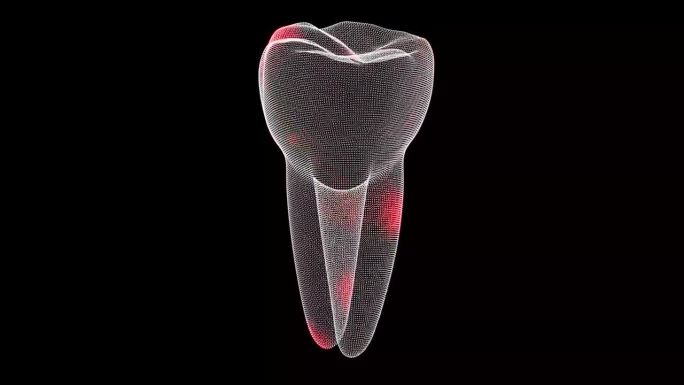 3D牙齿旋转。牙痛扫描接口。HUD牙齿分析。医学解剖学概念。数字牙齿解剖模型。口腔保健理念。用于标题