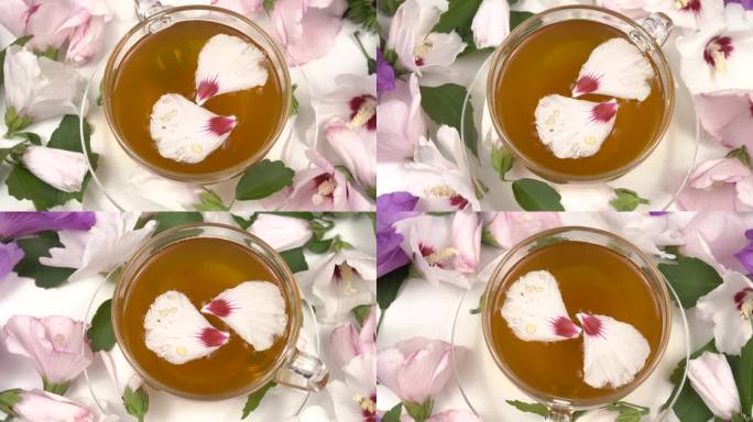 一杯用干的和新鲜的白蜀葵花调制的蜀葵茶