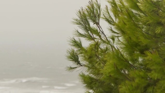 度假海岸上的狂风左侧留白大海海洋沿海地区