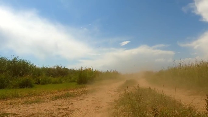 一辆飞驰的汽车在干燥的乡间小路上扬起的尘土