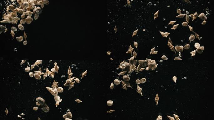 一堆不同的贝壳沉入黑色的水中