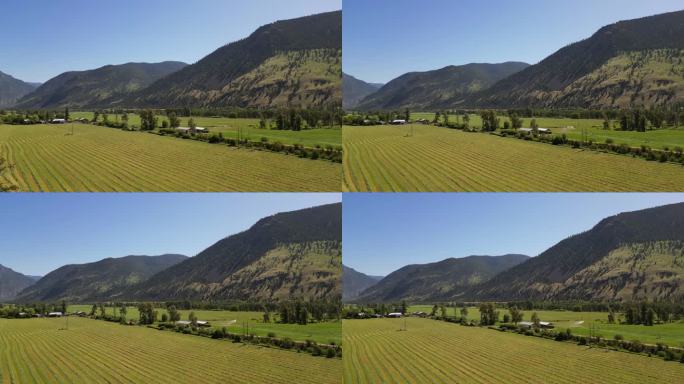 空中Similkameen山谷农业收获苜蓿不列颠哥伦比亚省景观