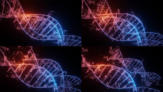 两个DNA分子在黑色背景上的视频