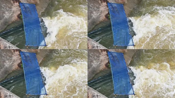 在大坝放水以防止洪水泛滥时，鱼儿跳入鱼网的画面。